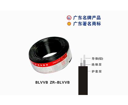 BLVVB ZR-BLVVB珠江电缆